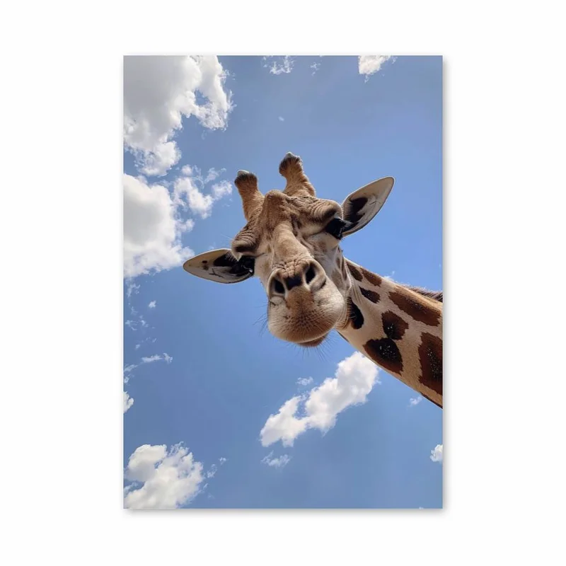 aesthetic-posters11295222