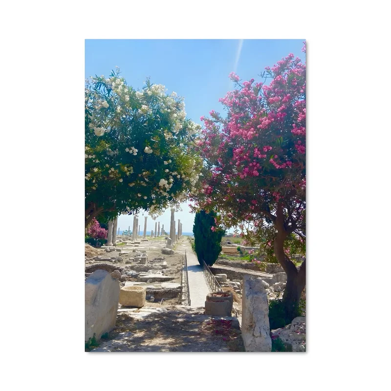 aesthetic-posters11307141