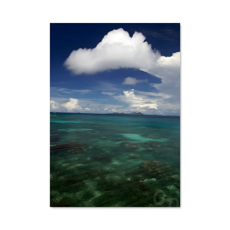 aesthetic-posters21563400