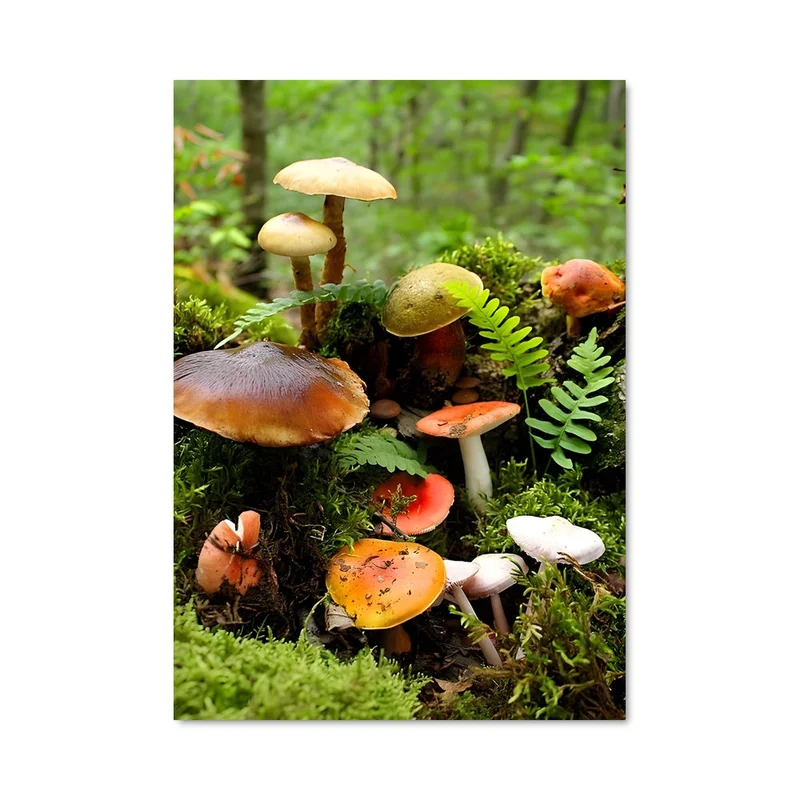 aesthetic-posters21590252
