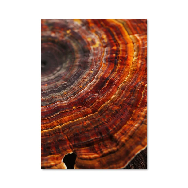 aesthetic-posters21591275