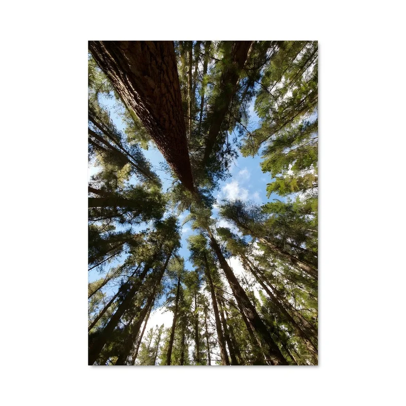 aesthetic-posters21622372
