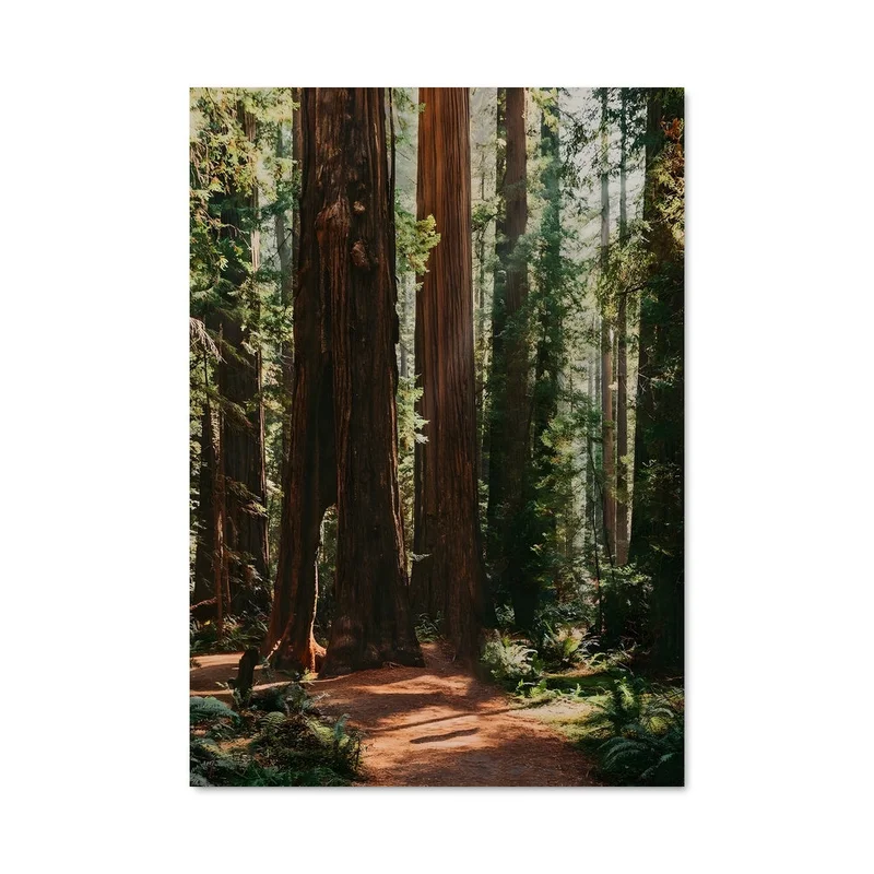 aesthetic-posters21623880