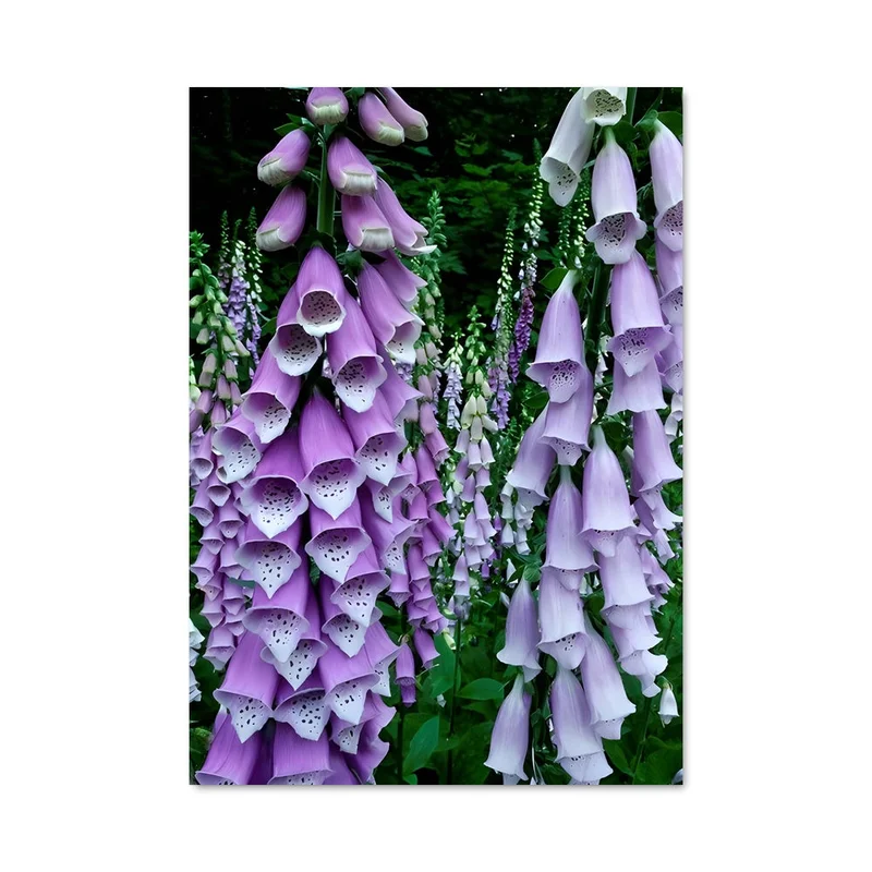 aesthetic-posters21699010