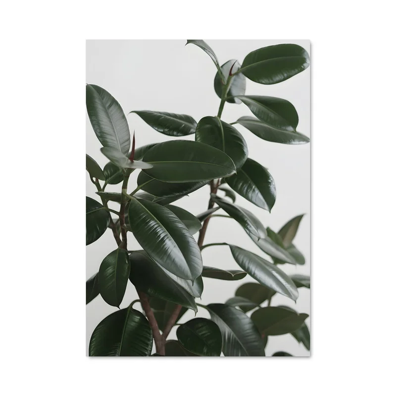 aesthetic-posters21711452