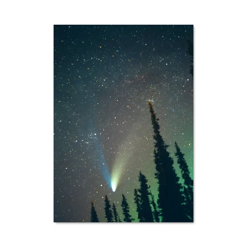 aesthetic-posters21749417