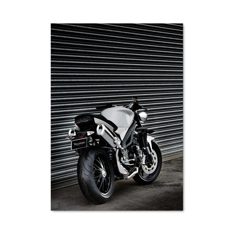 aesthetic-posters31305514