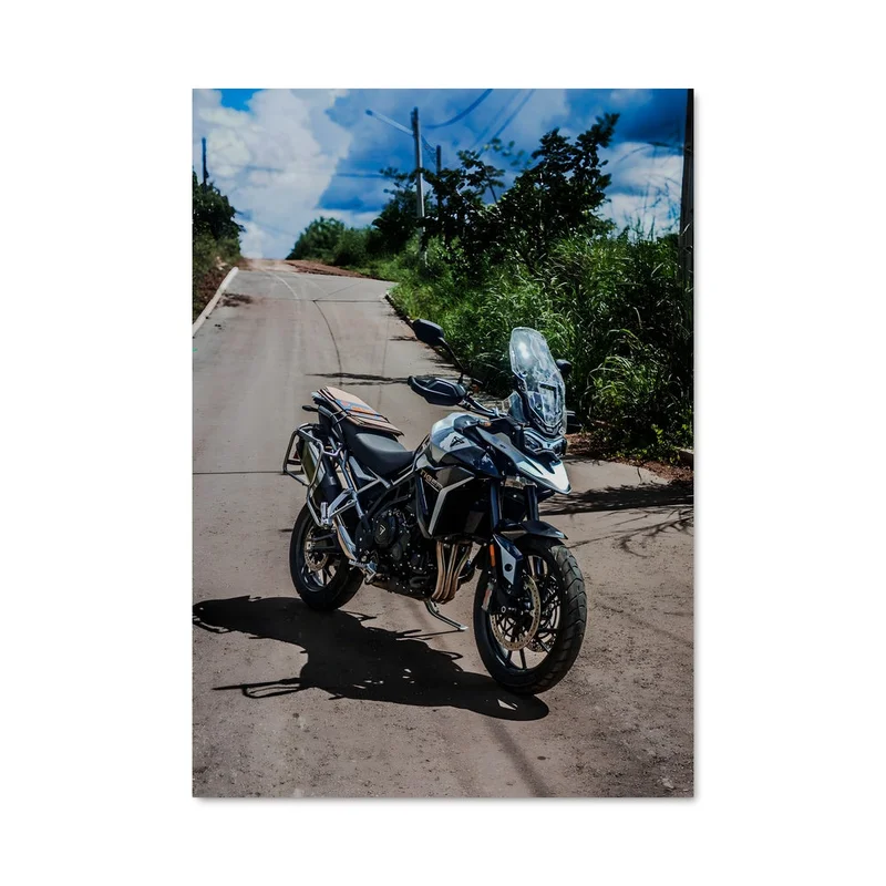 aesthetic-posters31305713