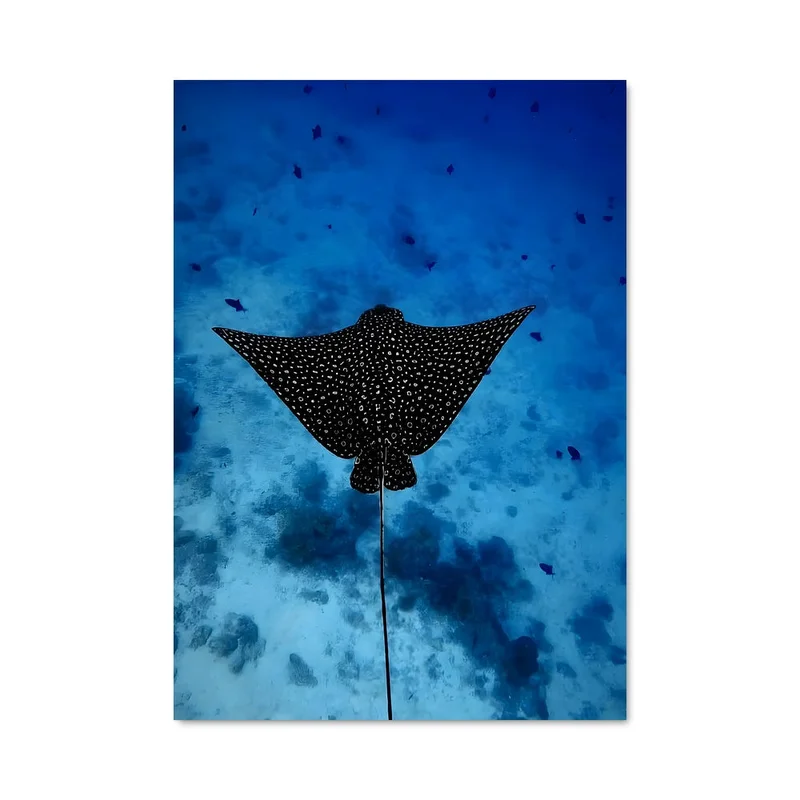 aesthetic-posters31309161