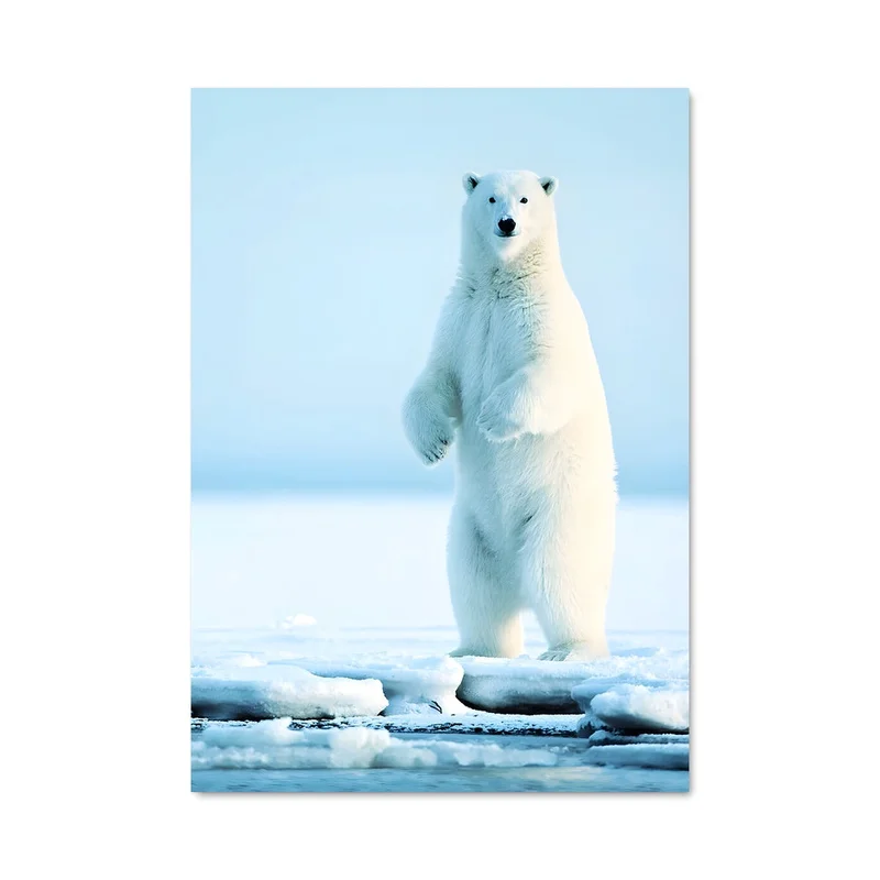 aesthetic-posters31309946