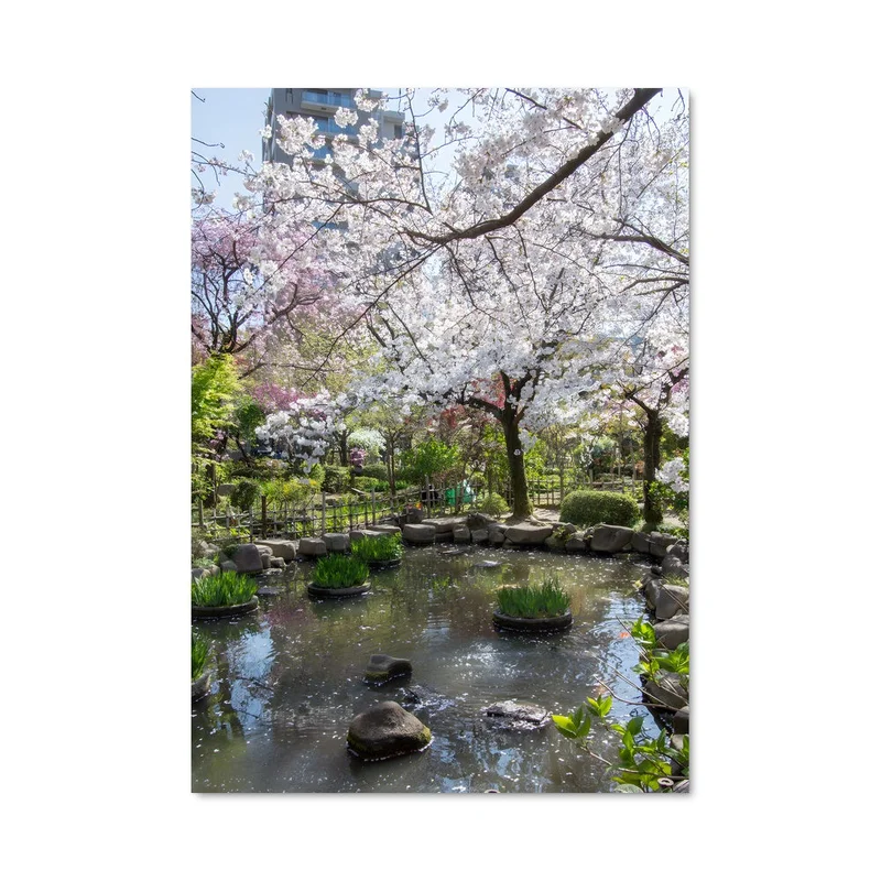 aesthetic-posters31322144