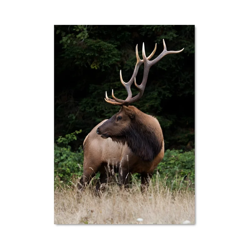 aesthetic-posters31324356