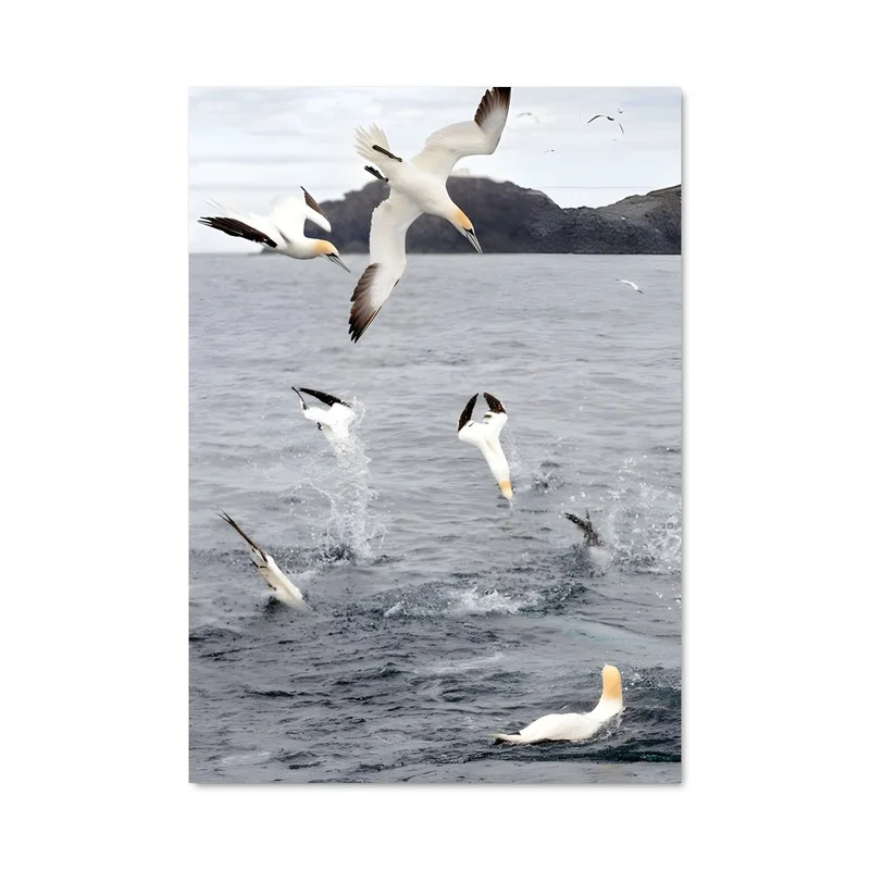 aesthetic-posters31324588