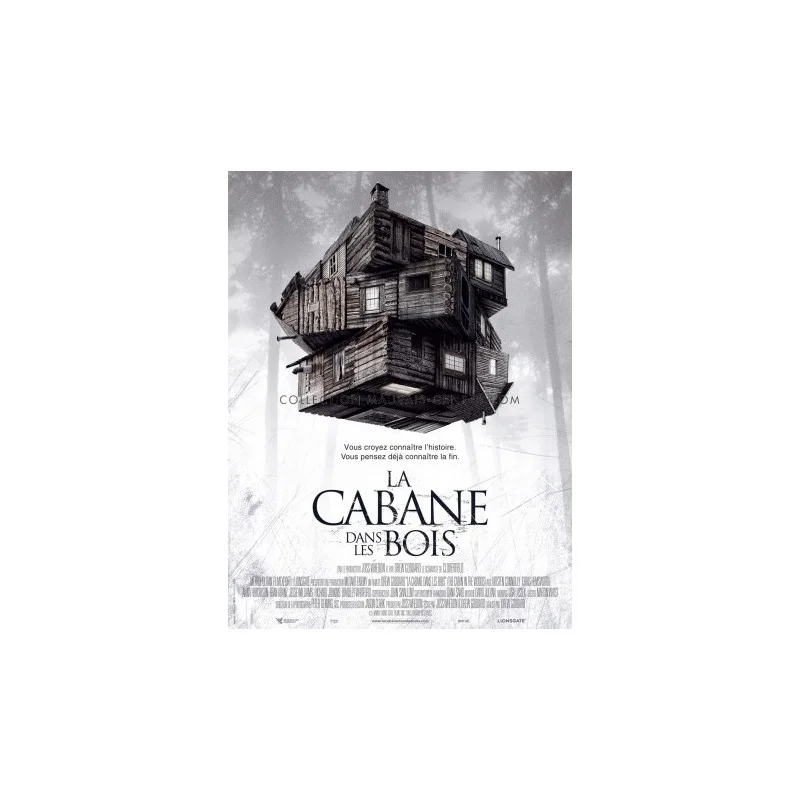 affichescinema-1354994