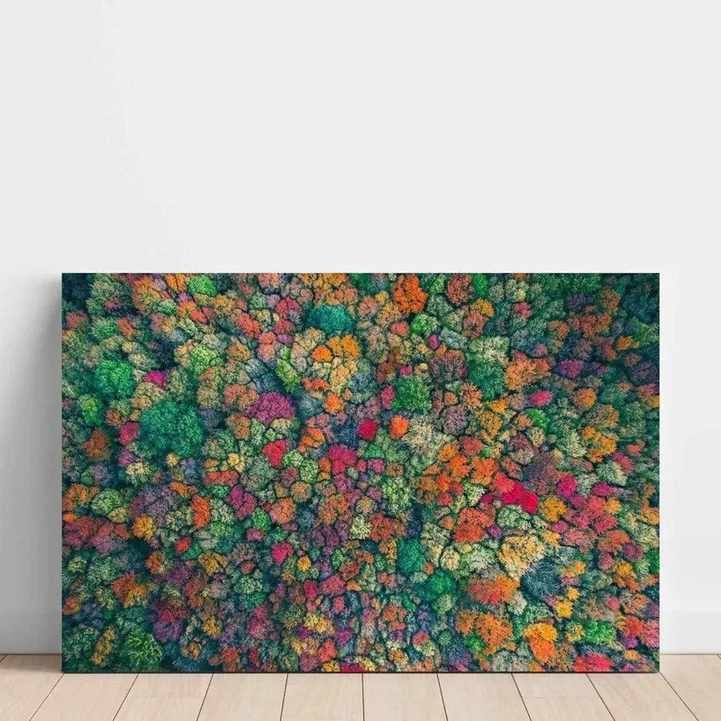 artemlegrand11270369