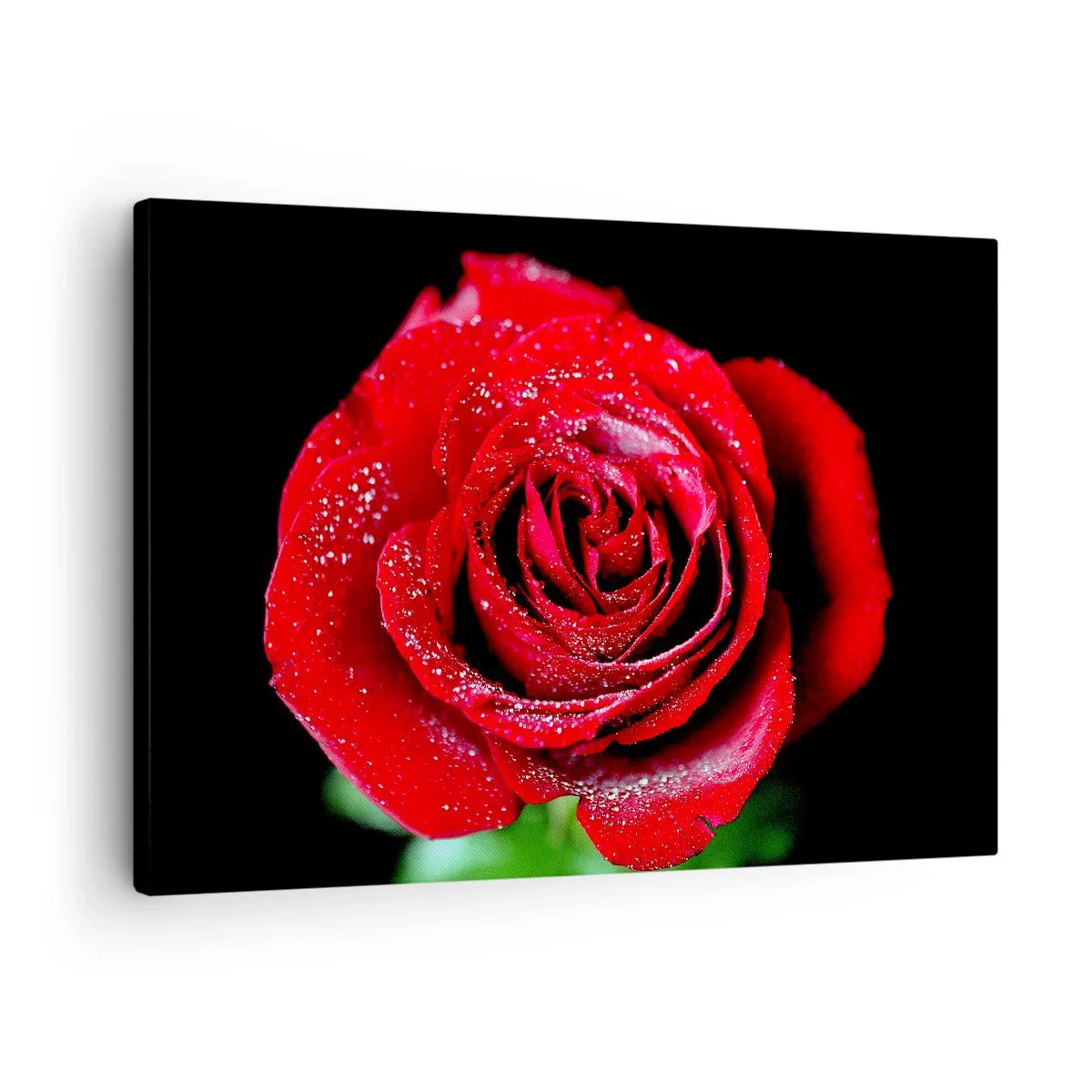arttor1-1356402
