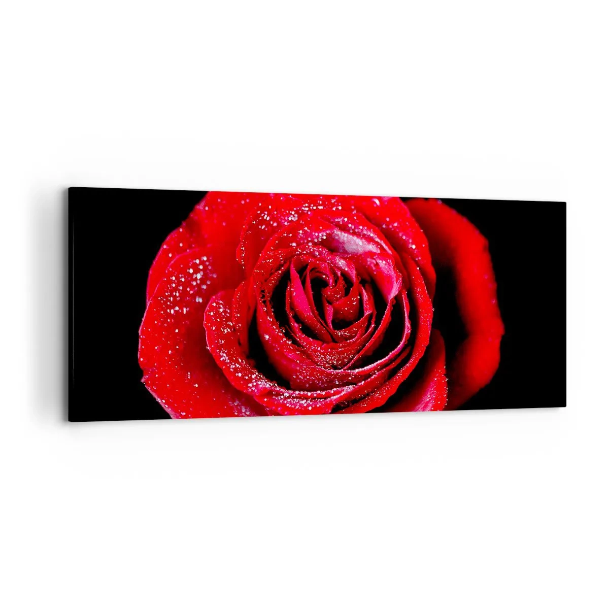 arttor1-1356422
