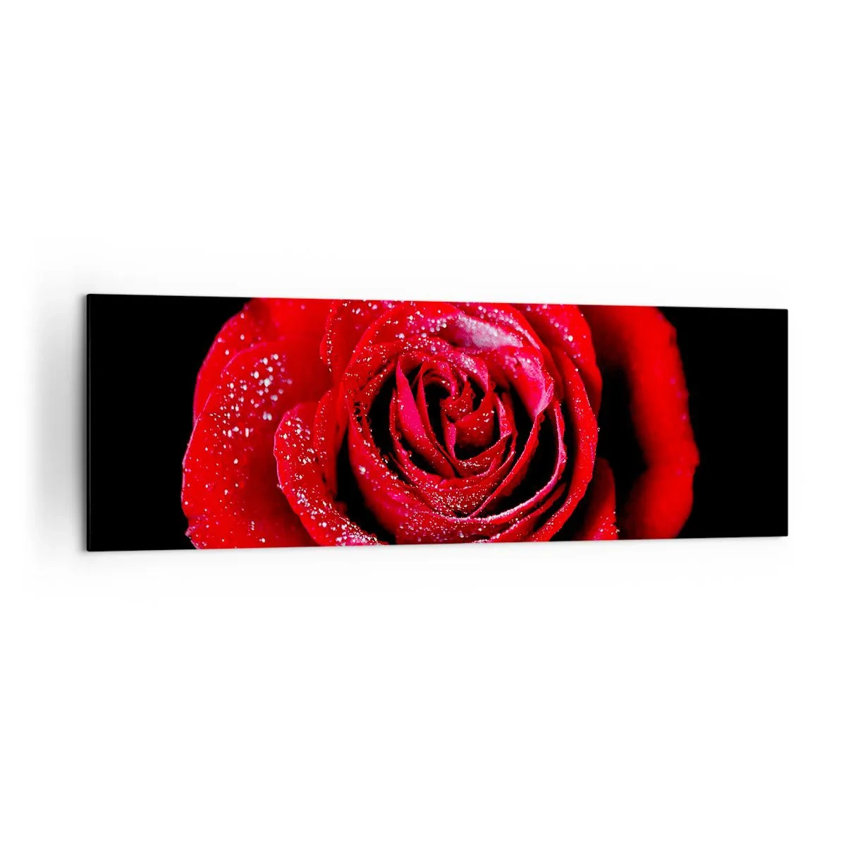 arttor1-1356453