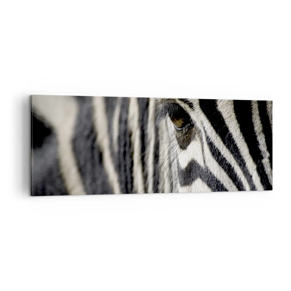 arttor1-1358655