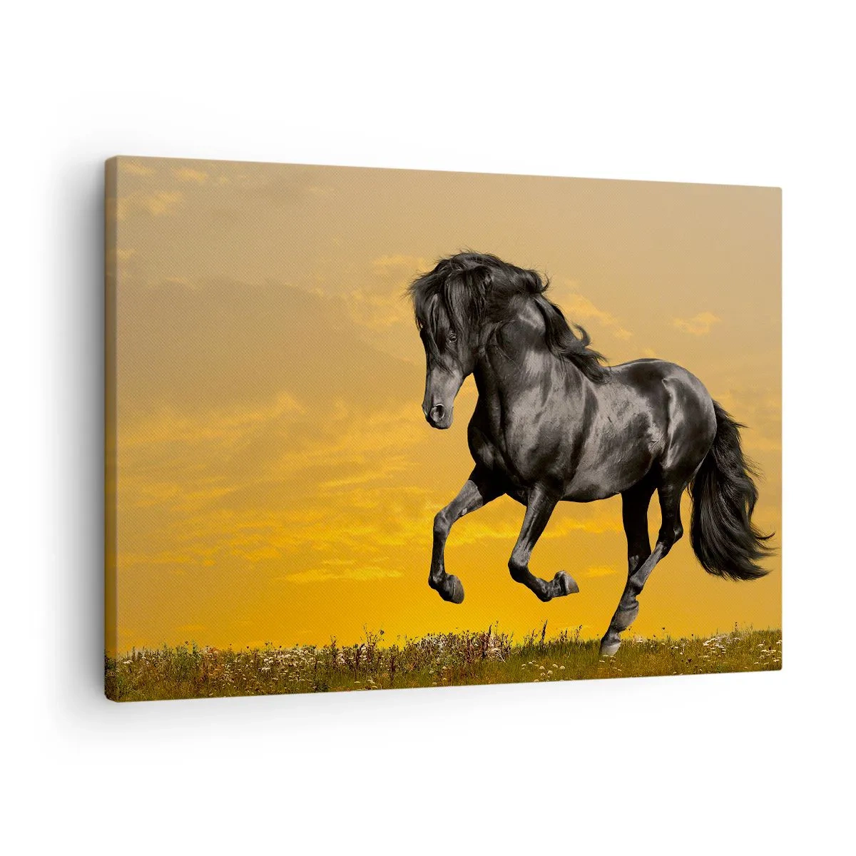 arttor1-1359477