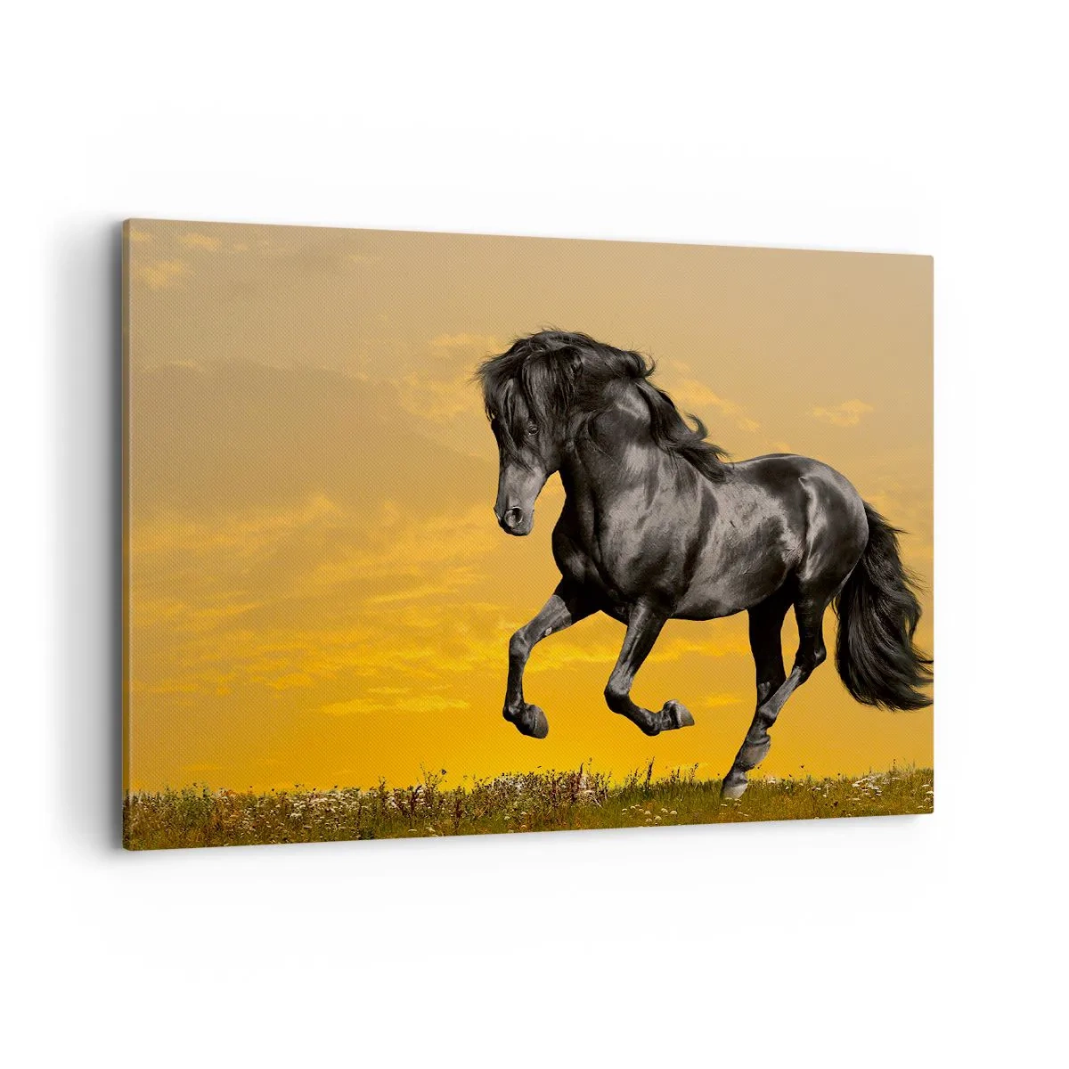 arttor1-1359478