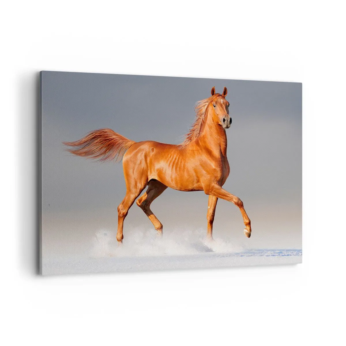 arttor1-1364837