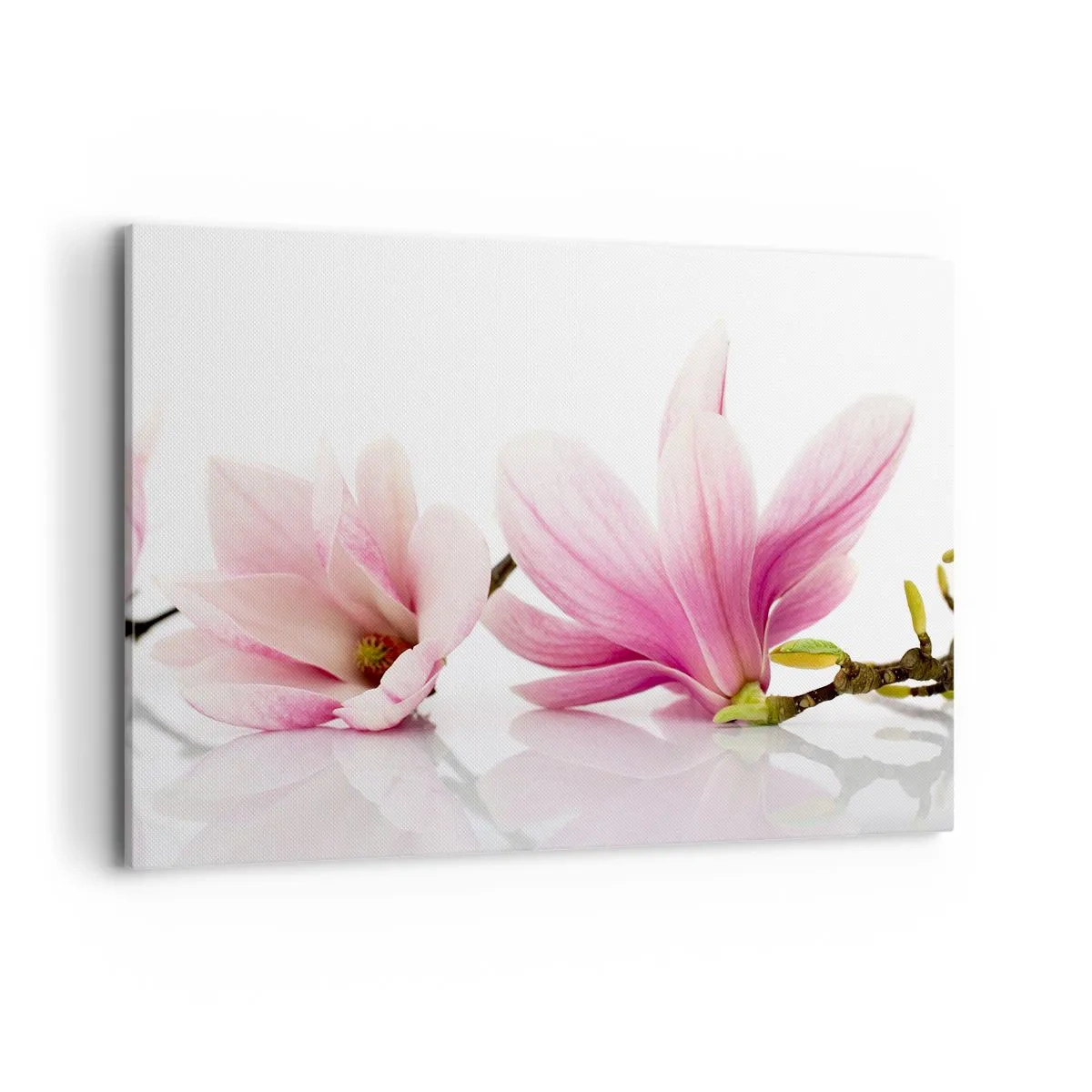arttor1-1365806