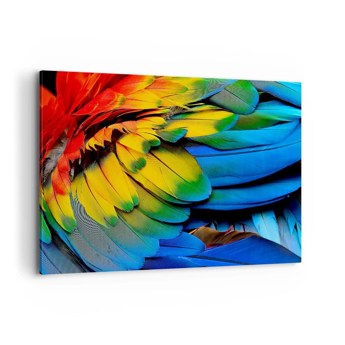 arttor1-1377092