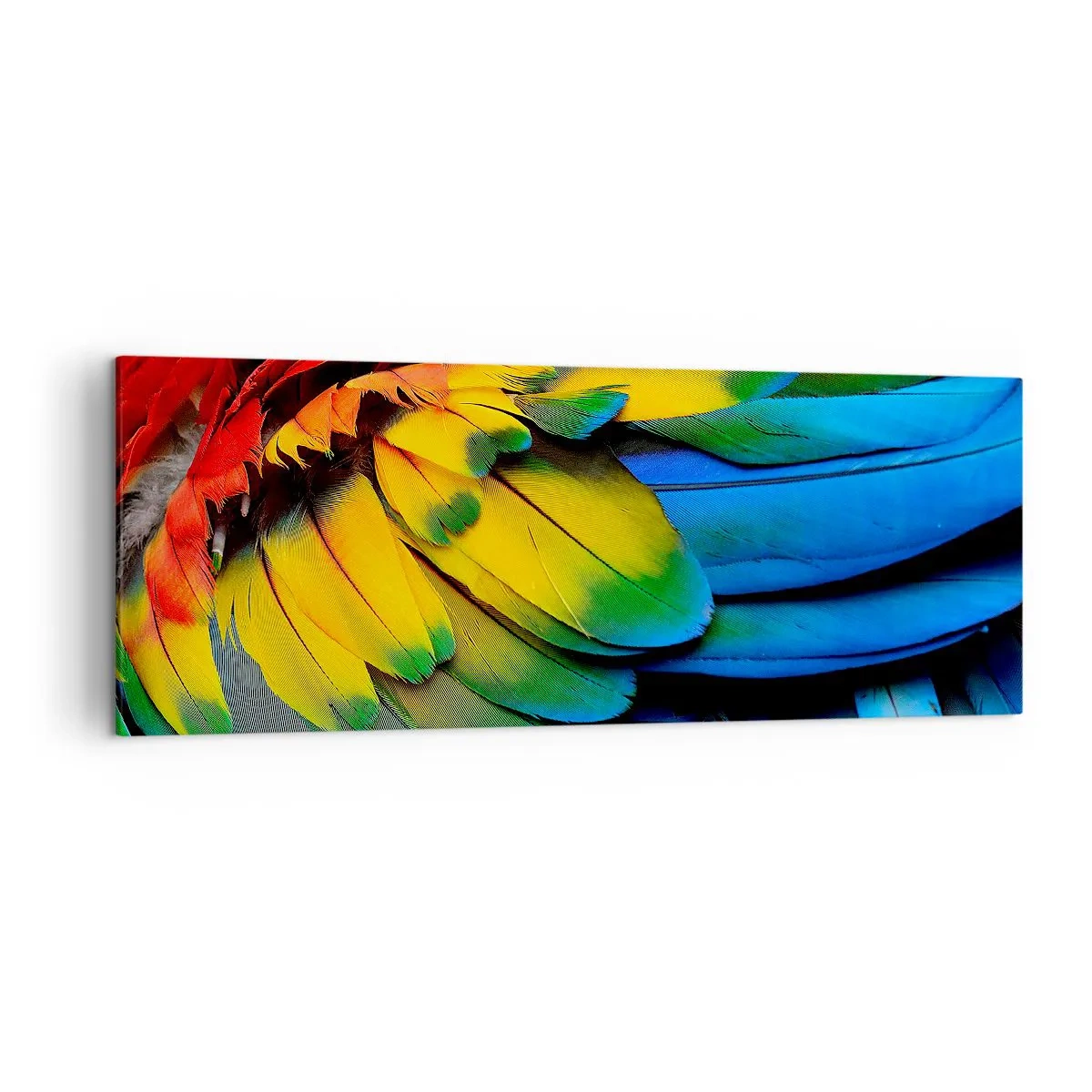 arttor1-1377098