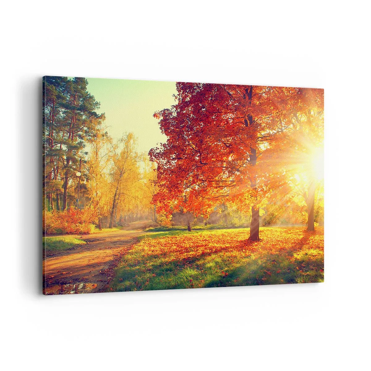 arttor1-1380668