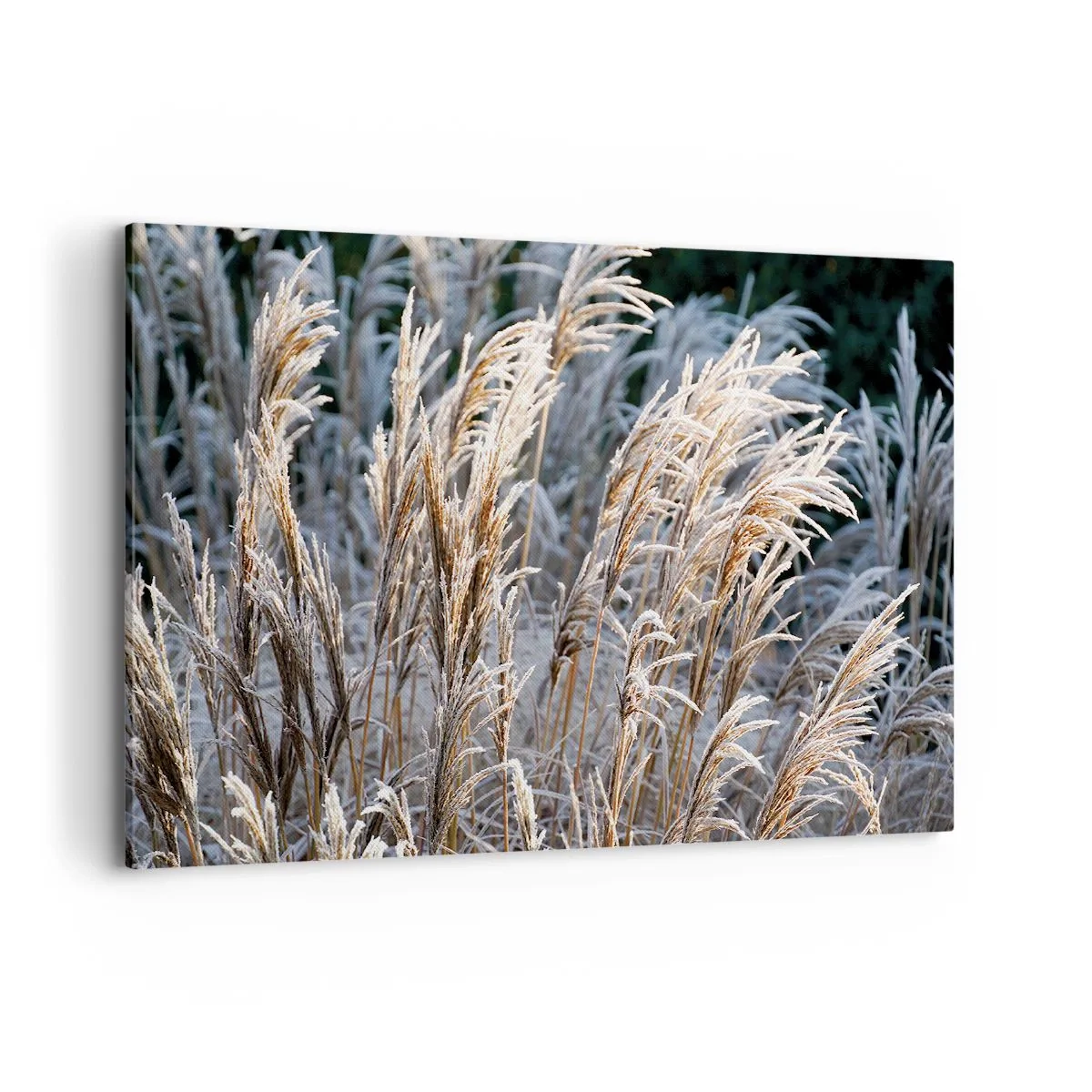 arttor1-1396870
