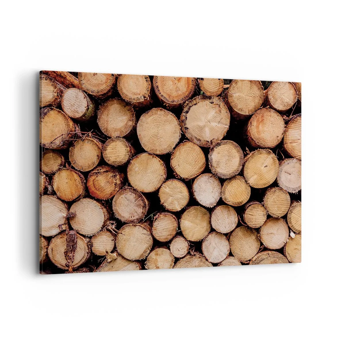 arttor1-1403526