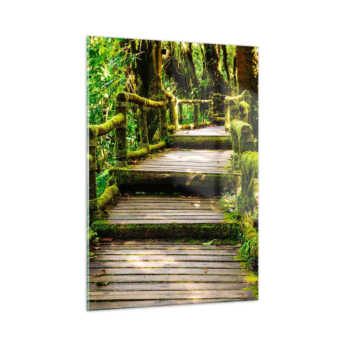 arttor1-1420982