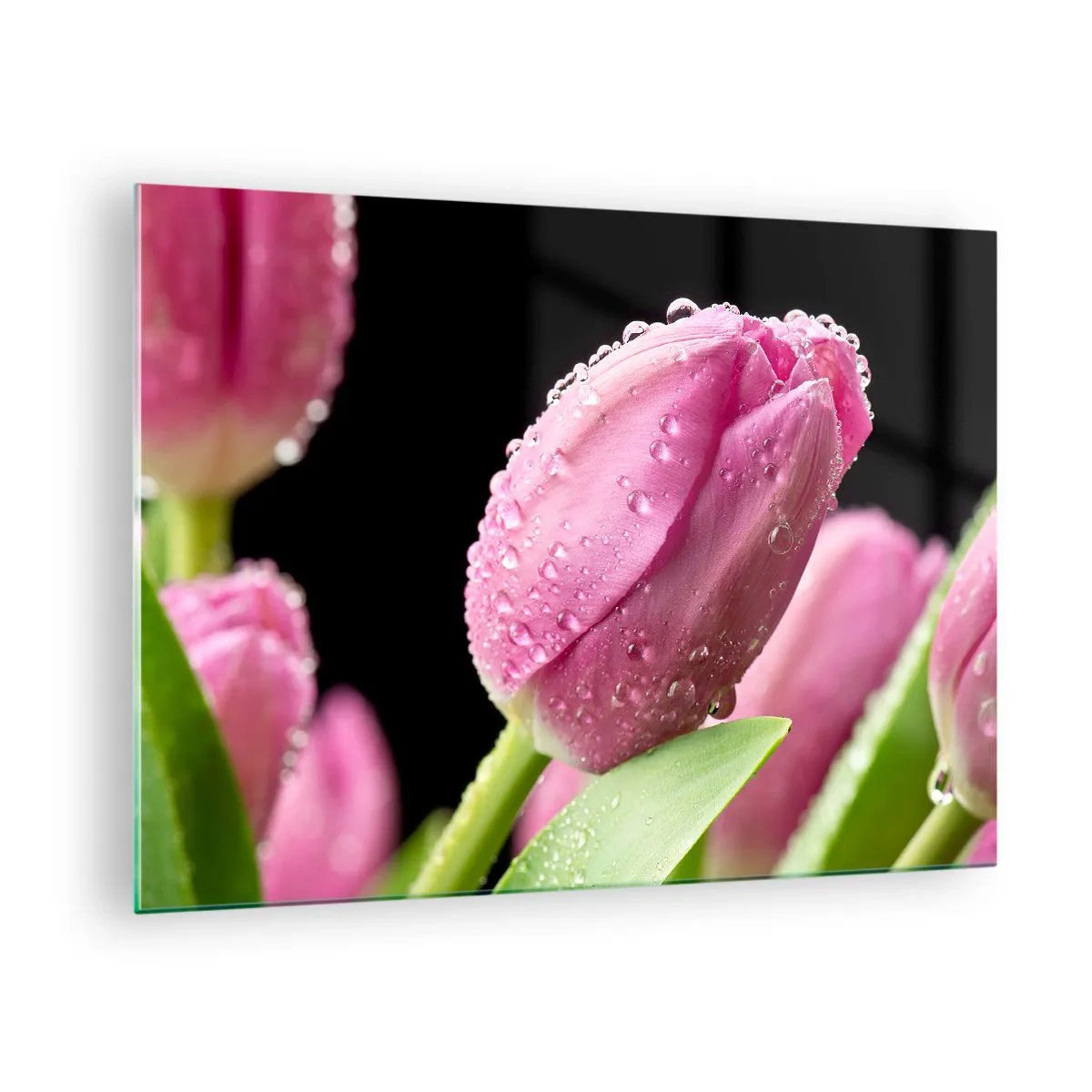 arttor1-1422524