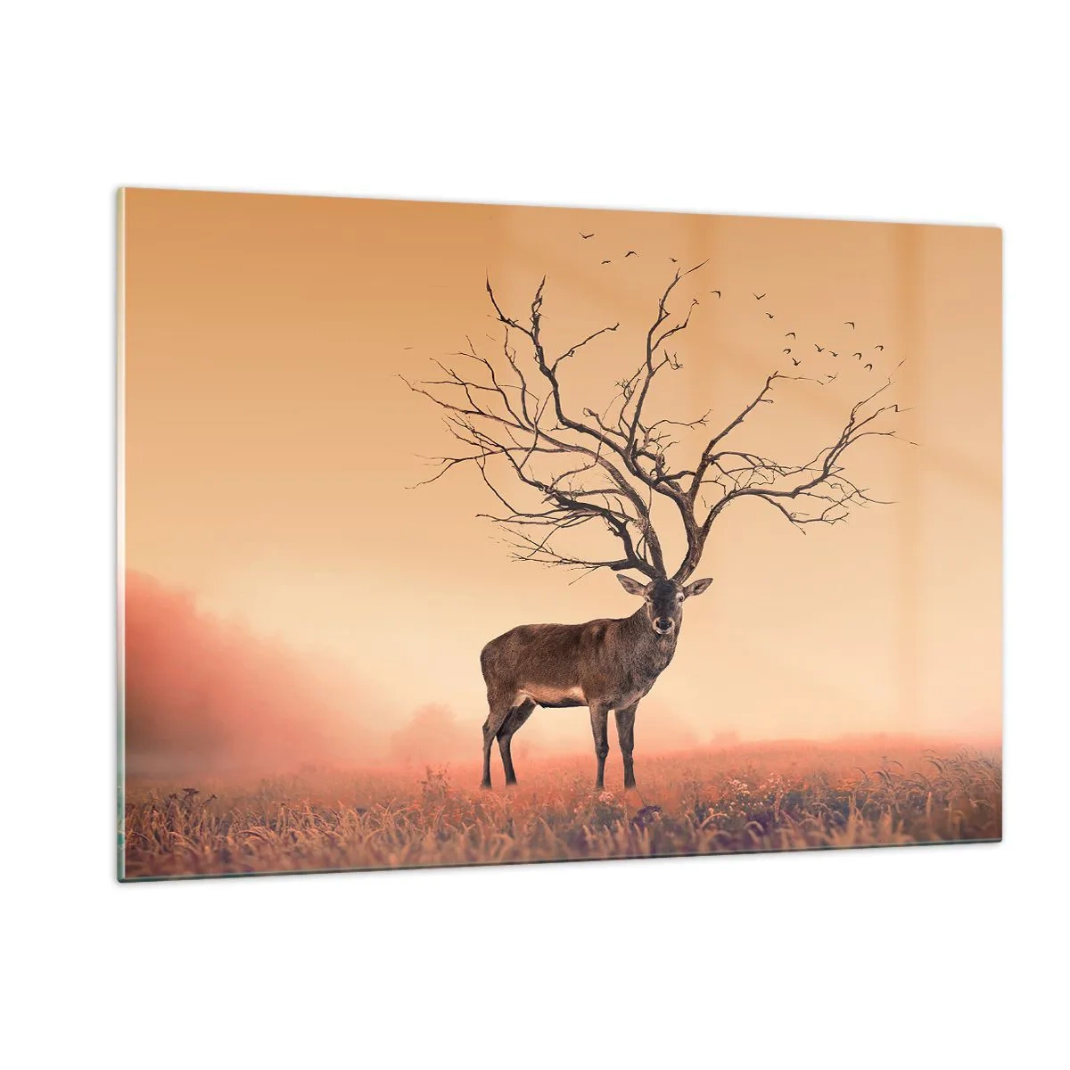 arttor1-1440690