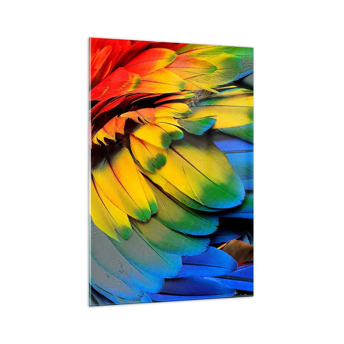 arttor1-1445368