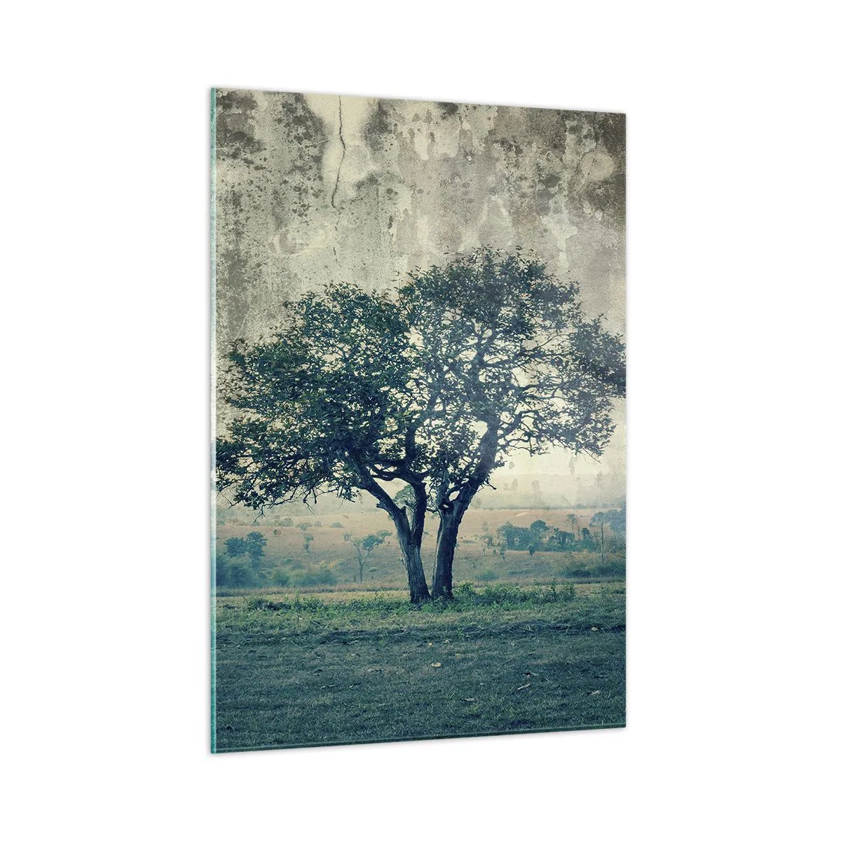 arttor1-1451534
