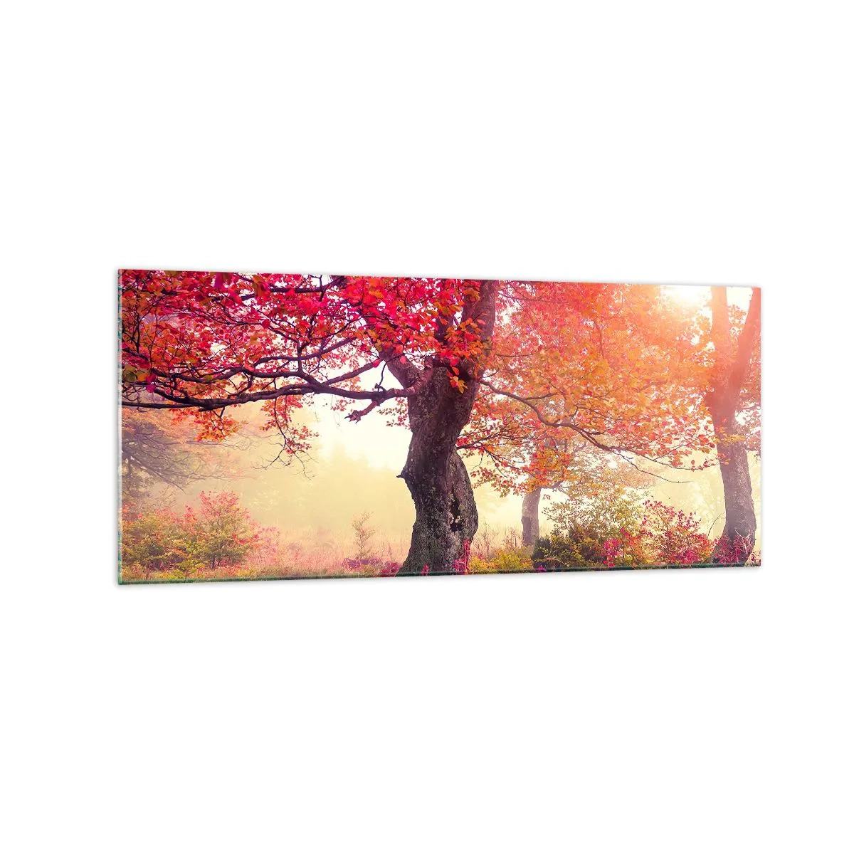 arttor1-1452507