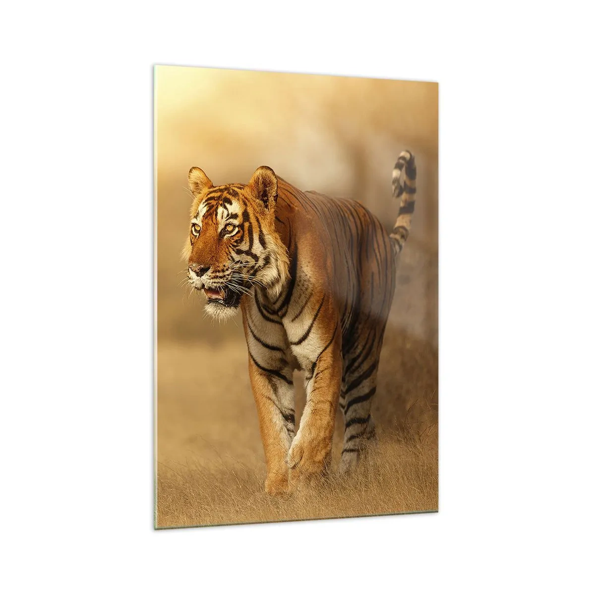arttor1-1459065