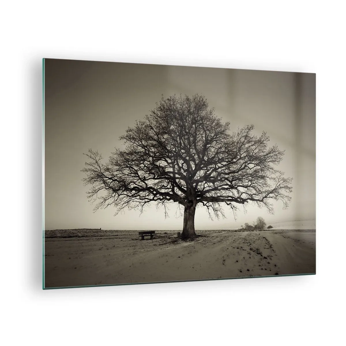 arttor1-1460904