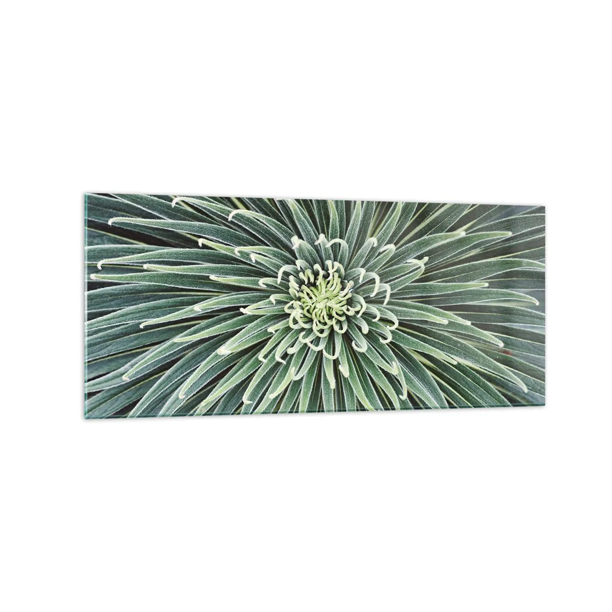 arttor2-214820