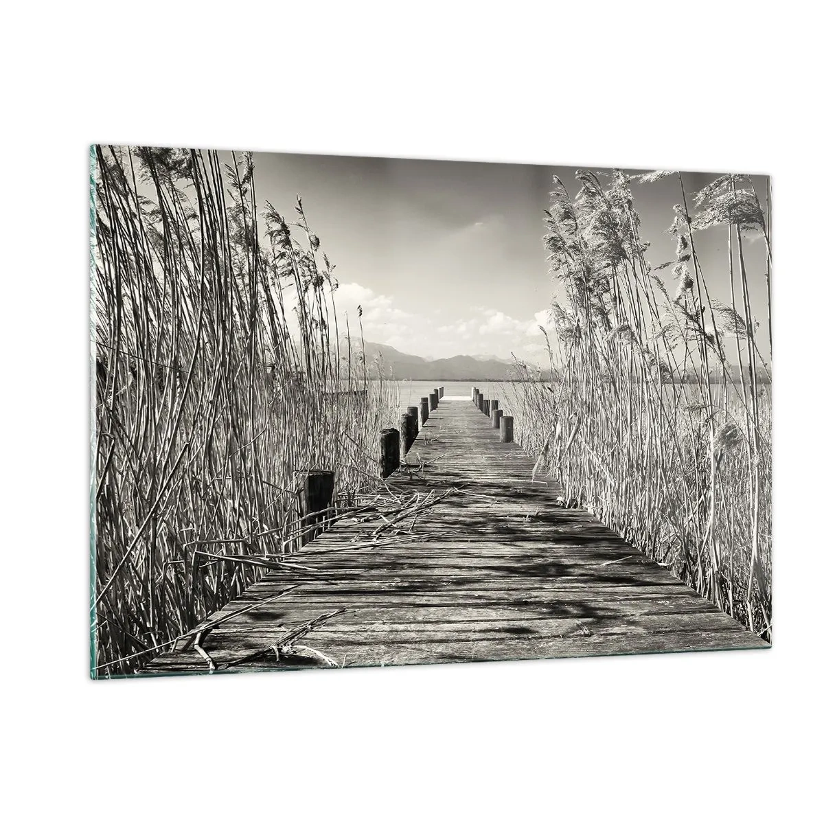 arttor2-215141