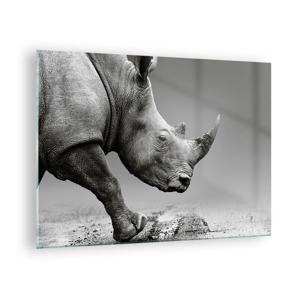 arttor2-215494