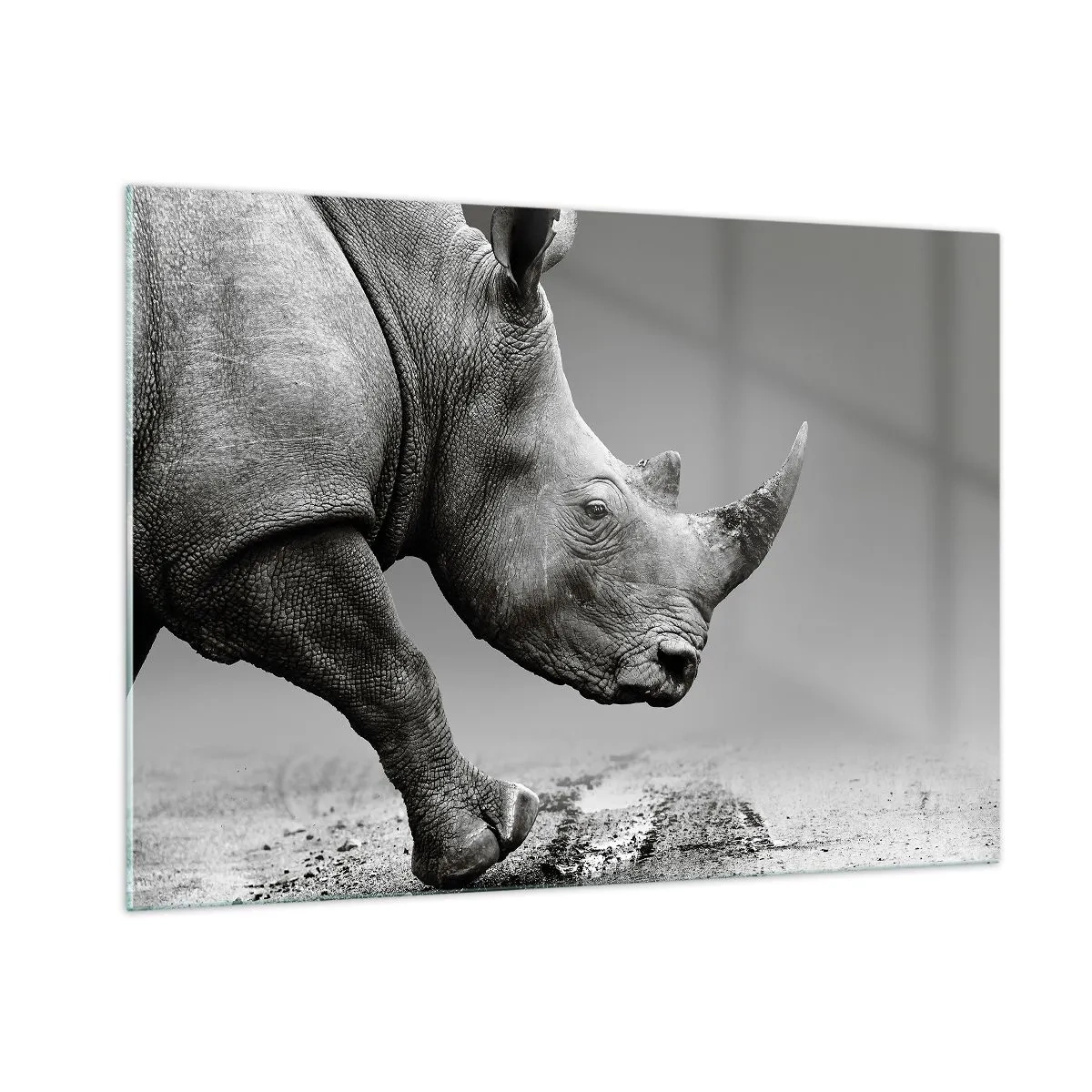 arttor2-215496