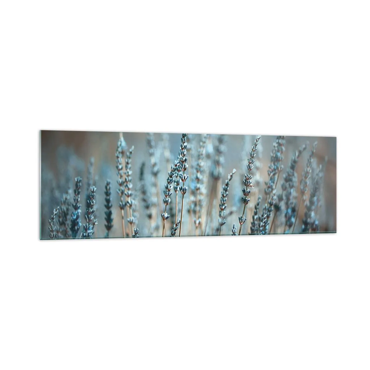 arttor2-215943