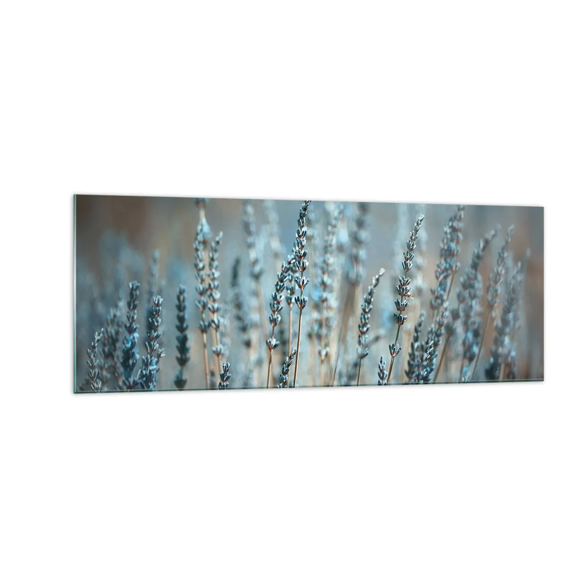 arttor2-215945