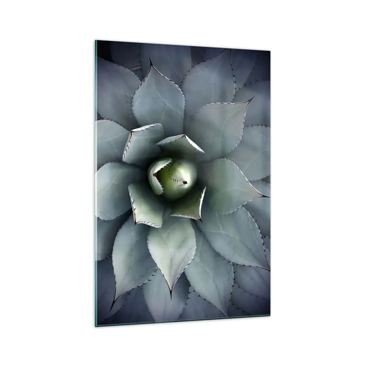 arttor2-218032