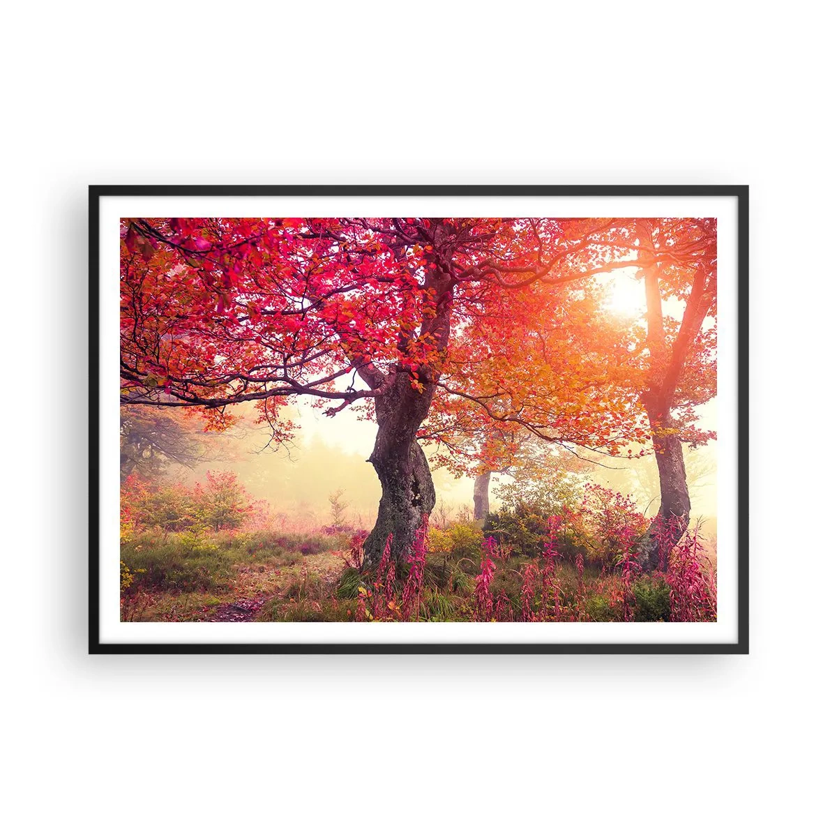 arttor2-218424