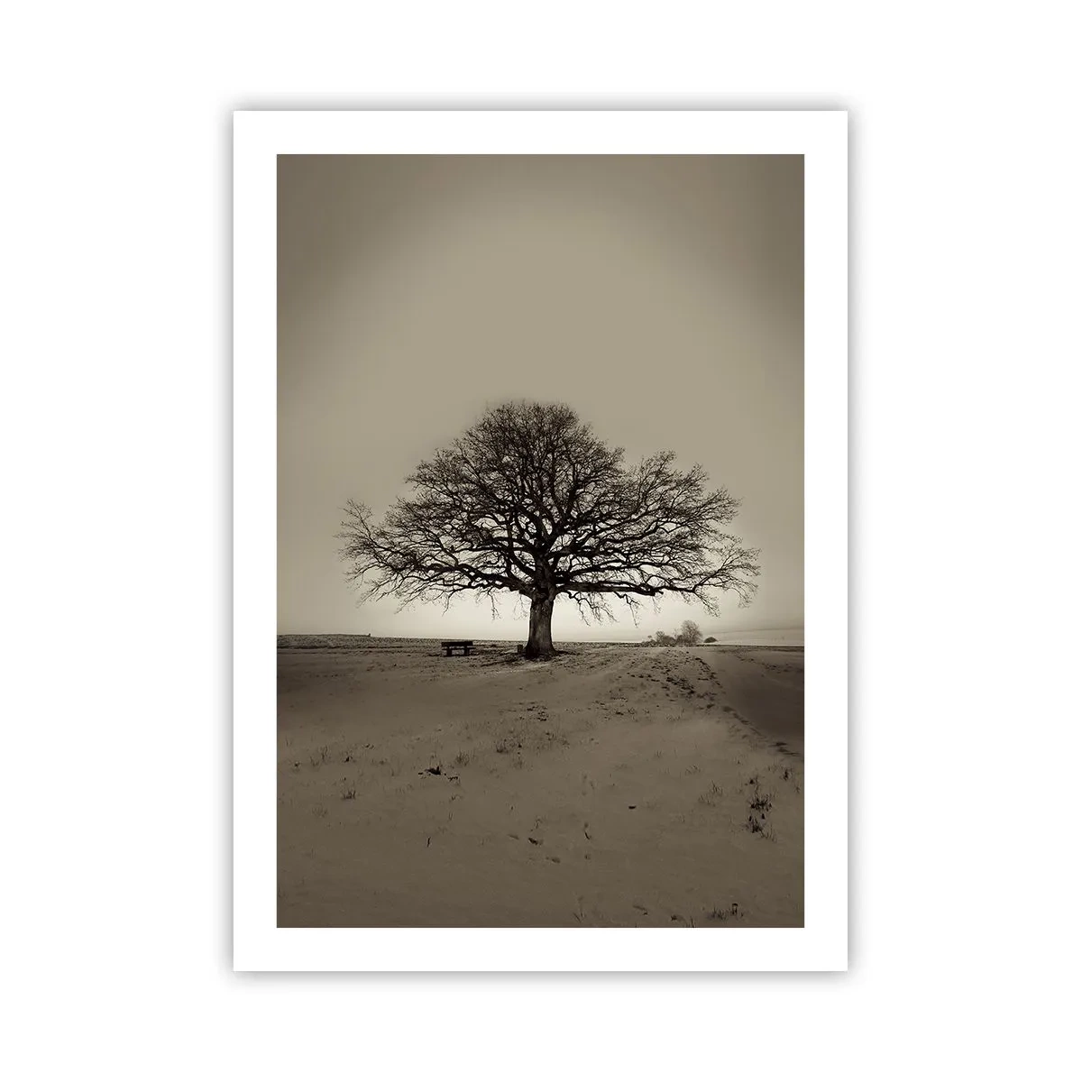 arttor2-220284