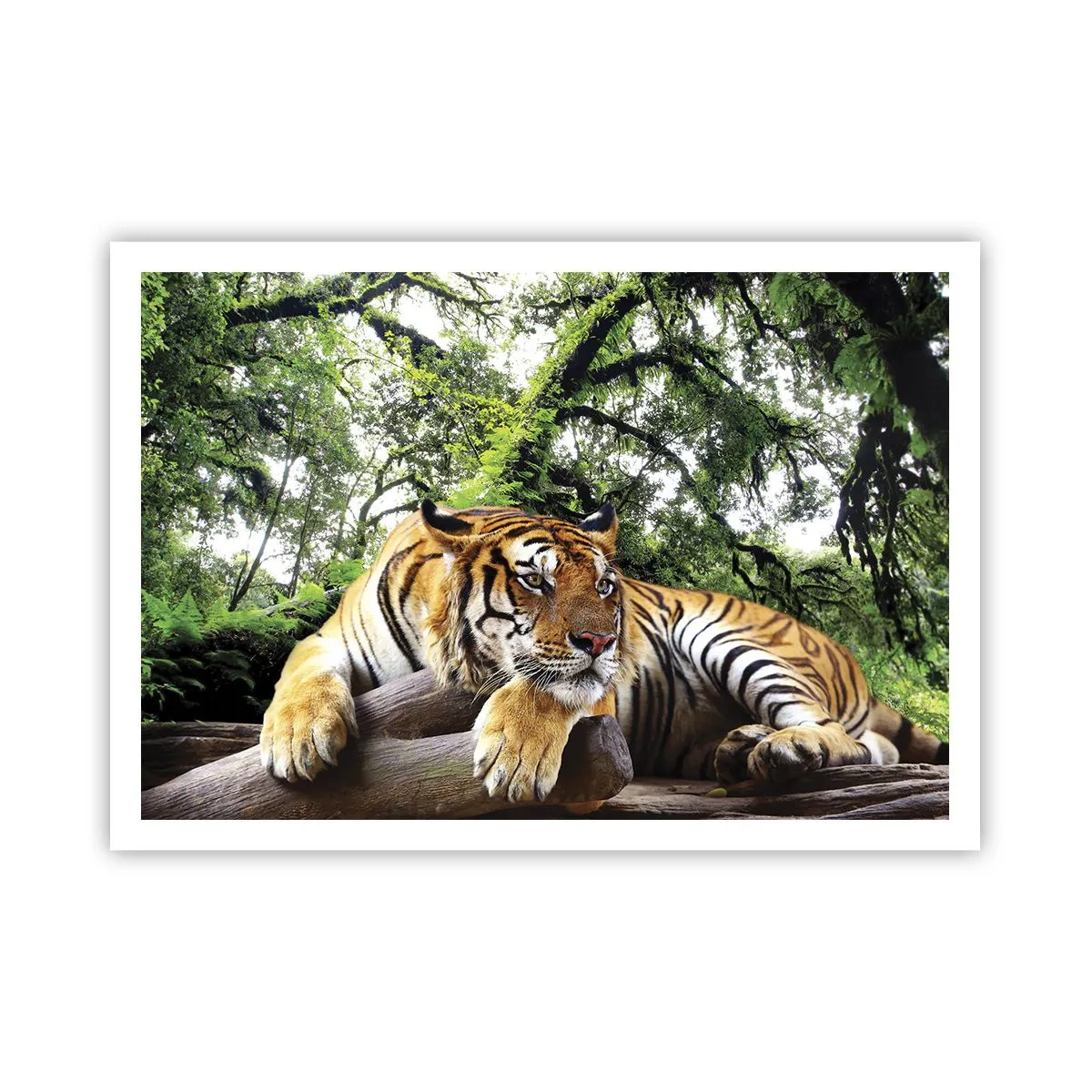 arttor2-220535